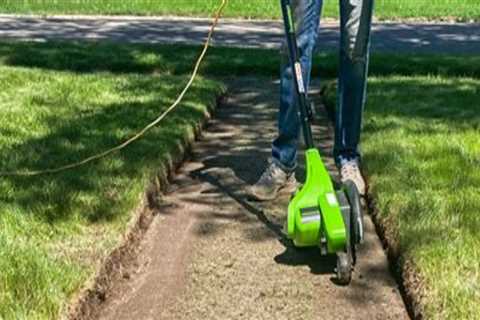 Sustainable Landscaping Products That Help Maintain Lawns After Bounce House Rentals