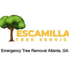 Emergency Tree Removal Atlanta, GA - Pat's Podcast