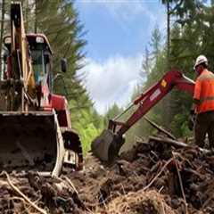 Understanding the Role of Heavy Machinery in Tree Excavation