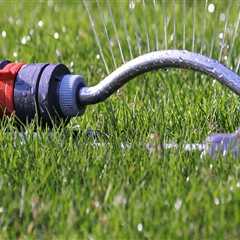 Ensure Tree Safety and Water Quality with Backflow Testing