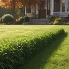 Essential Turf Management: Understanding Fertilization Frequency