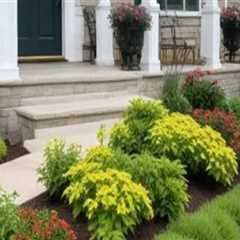 Enhancing Curb Appeal Through Landscape Renovation