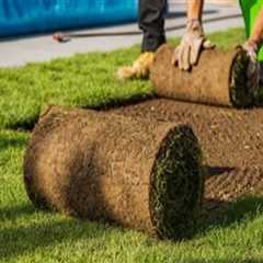 Avoiding Common Pitfalls in Turf Management: Key Mistakes to Watch Out For