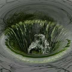 How Tree Maintenance for Real Estate Assets Helps Prevent Drain Problems in Vancouver, WA