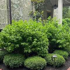 Affordable Mulch Supplier West Chester, PA · Sunday, May 3 📸