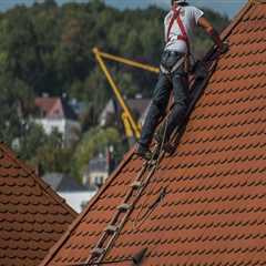 Protect Your Home: Roofing Solutions and Pest Control