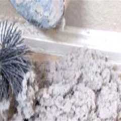 Understanding Dryer Vent Cleaning Costs for Portland Homeowners