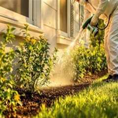 Why Outdoor Property Conditions Matter in Preventing Seasonal Pest Infestations