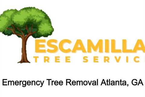 Emergency Tree Removal Atlanta, GA - Pat's Podcast