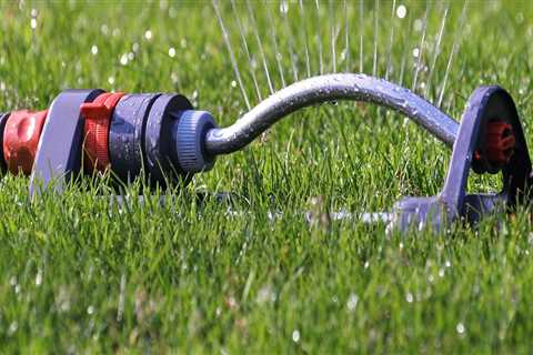 Ensure Tree Safety and Water Quality with Backflow Testing