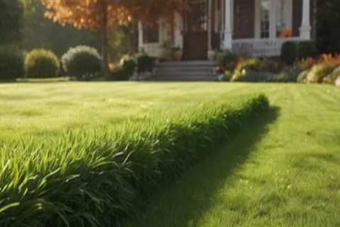 Essential Turf Management: Understanding Fertilization Frequency
