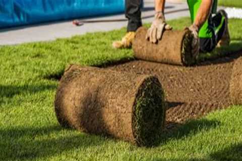 Avoiding Common Pitfalls in Turf Management: Key Mistakes to Watch Out For