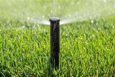 Mastering Turf Management: How to Determine the Right Irrigation Amount