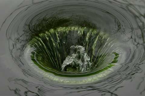 How Tree Maintenance for Real Estate Assets Helps Prevent Drain Problems in Vancouver, WA