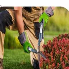 How Lawn Care Services Support Better Accessibility for Outdoor Maintenance and Repairs