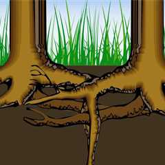 The Rarely Discussed Impact of Mature Trees on Underground Utility and Plumbing Corridors