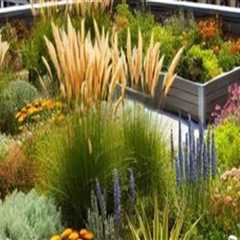 Incorporating Native Plants into Your Rooftop Garden Design