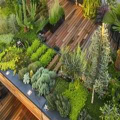 Innovative Ways to Integrate Technology into Your Rooftop Garden Design