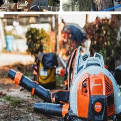 Tree Trimming in Virginia Beach, VA: How Tree Inspection Helps Maintain Healthier Trees