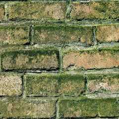 Ensure a Mold-Free Patio Installation in South Salt Lake