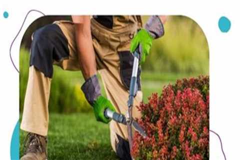 How Lawn Care Services Support Better Accessibility for Outdoor Maintenance and Repairs
